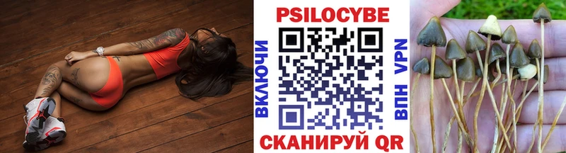Галлюциногенные грибы Psilocybe наркота Севастополь